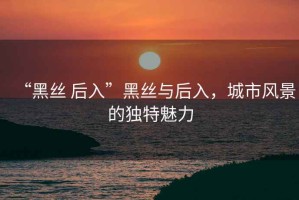 “黑絲 后入”黑絲與后入，城市風(fēng)景的獨特魅力