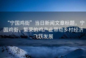 “寧國雞街”當(dāng)日新聞文章標(biāo)題，寧國雞街，繁榮的雞產(chǎn)業(yè)帶動鄉(xiāng)村經(jīng)濟(jì)飛躍發(fā)展