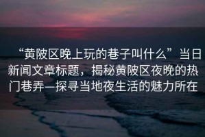 “黃陂區(qū)晚上玩的巷子叫什么”當(dāng)日新聞文章標(biāo)題，揭秘黃陂區(qū)夜晚的熱門(mén)巷弄—探尋當(dāng)?shù)匾股畹镊攘λ? title=