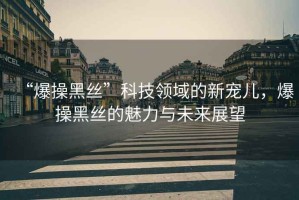 “爆操黑絲”科技領(lǐng)域的新寵兒，爆操黑絲的魅力與未來(lái)展望