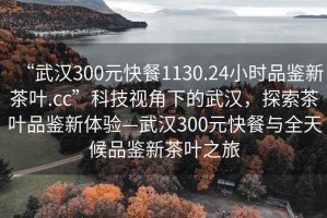 “武漢300元快餐1130.24小時品鑒新茶葉.cc”科技視角下的武漢，探索茶葉品鑒新體驗—武漢300元快餐與全天候品鑒新茶葉之旅