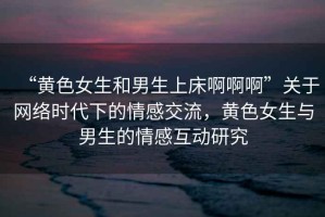 “黃色女生和男生上床啊啊啊”關(guān)于網(wǎng)絡(luò)時(shí)代下的情感交流，黃色女生與男生的情感互動(dòng)研究