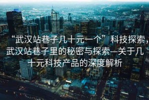 “武漢站巷子幾十元一個(gè)”科技探索，武漢站巷子里的秘密與探索—關(guān)于幾十元科技產(chǎn)品的深度解析