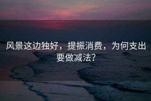 風景這邊獨好，提振消費，為何支出要做減法？