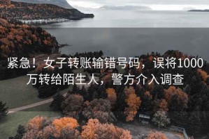 緊急！女子轉(zhuǎn)賬輸錯(cuò)號(hào)碼，誤將1000萬(wàn)轉(zhuǎn)給陌生人，警方介入調(diào)查