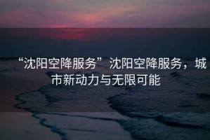 “沈陽空降服務(wù)”沈陽空降服務(wù)，城市新動(dòng)力與無限可能