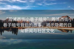 “周浦西街小巷子暗號(hào)”周浦西街小巷子暗號(hào)背后的故事，揭示隱藏的日常新聞與社區(qū)文化