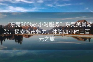“東莞300塊4小時(shí)服務(wù)”東莞美景游蹤，探索城市魅力，體驗(yàn)四小時(shí)三百元之旅