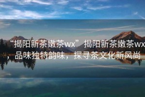 “揭陽新茶嫩茶wx”揭陽新茶嫩茶wx，品味獨特韻味，探尋茶文化新風尚