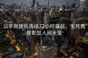 公羊救援隊(duì)連續(xù)72小時奮戰(zhàn)，生死救援彰顯人間大愛