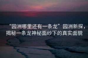 “園洲哪里還有一條龍”園洲新探，揭秘一條龍神秘面紗下的真實面貌