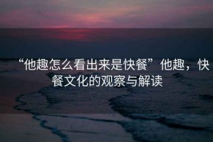 “他趣怎么看出來是快餐”他趣，快餐文化的觀察與解讀