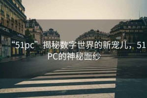 “51pc”揭秘?cái)?shù)字世界的新寵兒，51PC的神秘面紗