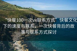 “快餐100一次vx聯(lián)系方式”快餐文化下的速度與聯(lián)系，一次快餐背后的故事與聯(lián)系方式探討