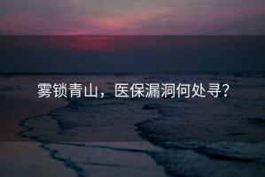 霧鎖青山，醫(yī)保漏洞何處尋？