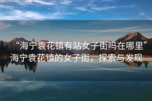 “海寧袁花鎮(zhèn)有站女子街嗎在哪里”海寧袁花鎮(zhèn)的女子街，探索與發(fā)現(xiàn)