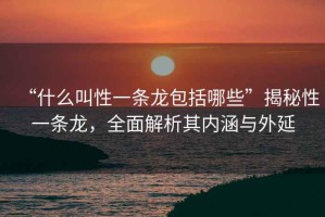 “什么叫性一條龍包括哪些”揭秘性一條龍，全面解析其內涵與外延