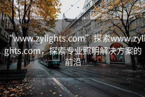 “www.zylights.com”探索www.zylights.com，探索專業(yè)照明解決方案的前沿
