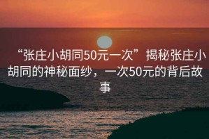 “張莊小胡同50元一次”揭秘張莊小胡同的神秘面紗，一次50元的背后故事