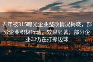 去年被315曝光企業(yè)整改情況揭曉，部分企業(yè)積極行動(dòng)，效果顯著；部分企業(yè)卻仍在打擦邊球