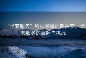 “半套服務(wù)”科技領(lǐng)域的新探索，半套服務(wù)的崛起與挑戰(zhàn)