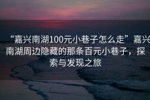 “嘉興南湖100元小巷子怎么走”嘉興南湖周邊隱藏的那條百元小巷子，探索與發(fā)現(xiàn)之旅