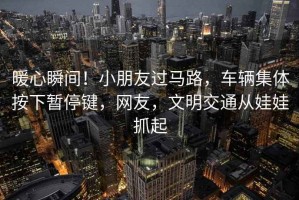 暖心瞬間！小朋友過馬路，車輛集體按下暫停鍵，網(wǎng)友，文明交通從娃娃抓起