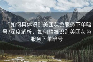 “如何具體識別美團(tuán)灰色服務(wù)下單暗號?深度解析，如何精準(zhǔn)識別美團(tuán)灰色服務(wù)下單暗號