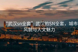 “武漢sn全套”武漢的SN全套，城市風(fēng)貌與人文魅力