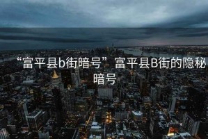 “富平縣b街暗號(hào)”富平縣B街的隱秘暗號(hào)