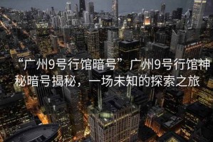 “廣州9號行館暗號”廣州9號行館神秘暗號揭秘，一場未知的探索之旅