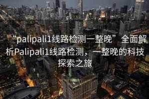 “palipali1線路檢測一整晚”全面解析Palipali1線路檢測，一整晚的科技探索之旅