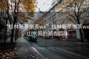 “桂林新茶嫩茶wx”桂林新茶嫩茶wx，山水間的茶香韻味