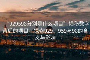 “929598分別是什么項(xiàng)目”揭秘?cái)?shù)字背后的項(xiàng)目，探索929、959與98的含義與影響
