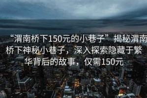 “渭南橋下150元的小巷子”揭秘渭南橋下神秘小巷子，深入探索隱藏于繁華背后的故事，僅需150元