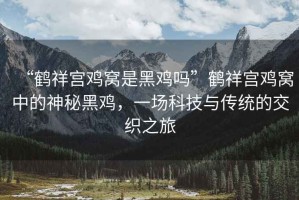 “鶴祥宮雞窩是黑雞嗎”鶴祥宮雞窩中的神秘黑雞，一場(chǎng)科技與傳統(tǒng)的交織之旅