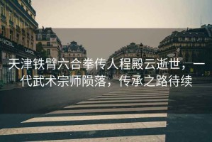 天津鐵臂六合拳傳人程殿云逝世，一代武術宗師隕落，傳承之路待續(xù)