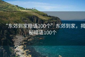 “東郊到家暗語100個”東郊到家，揭秘暗語100個