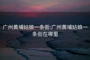 廣州黃埔姑娘一條街:廣州黃埔姑娘一條街在哪里