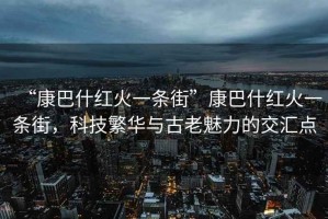 “康巴什紅火一條街”康巴什紅火一條街，科技繁華與古老魅力的交匯點
