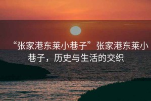 “張家港東萊小巷子”張家港東萊小巷子，歷史與生活的交織