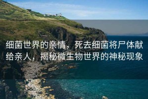 細(xì)菌世界的親情，死去細(xì)菌將尸體獻(xiàn)給親人，揭秘微生物世界的神秘現(xiàn)象