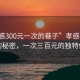 “孝感300元一次的巷子”孝感巷子深處的秘密，一次三百元的獨(dú)特體驗(yàn)