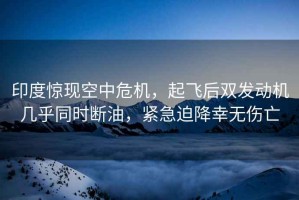 印度驚現(xiàn)空中危機(jī)，起飛后雙發(fā)動(dòng)機(jī)幾乎同時(shí)斷油，緊急迫降幸無傷亡