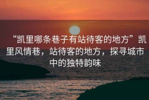 “凱里哪條巷子有站待客的地方”凱里風情巷，站待客的地方，探尋城市中的獨特韻味