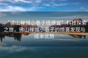 “佛山禪城小巷子很便宜”科技探索之旅，佛山禪城小巷子的驚喜發(fā)現(xiàn)與成本優(yōu)勢