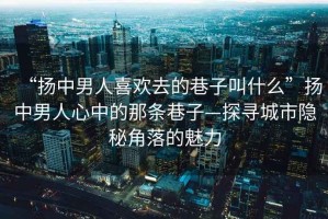 “揚(yáng)中男人喜歡去的巷子叫什么”揚(yáng)中男人心中的那條巷子—探尋城市隱秘角落的魅力