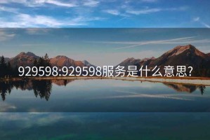 929598:929598服務是什么意思?