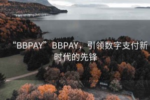 “BBPAY”BBPAY，引領(lǐng)數(shù)字支付新時代的先鋒