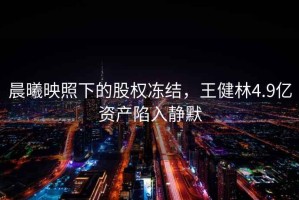 晨曦映照下的股權(quán)凍結(jié)，王健林4.9億資產(chǎn)陷入靜默
